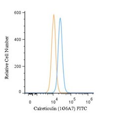 Calreticulin Antibody (1G6A7), FITC, Novus Biologicals 0.1mL; FITC:Antibodies,
